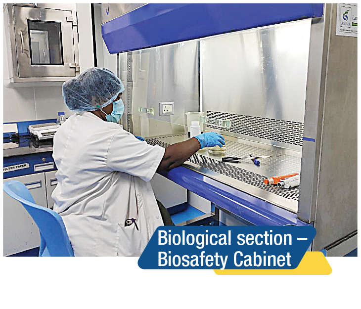 Biological Section Biosafety Cabinet
