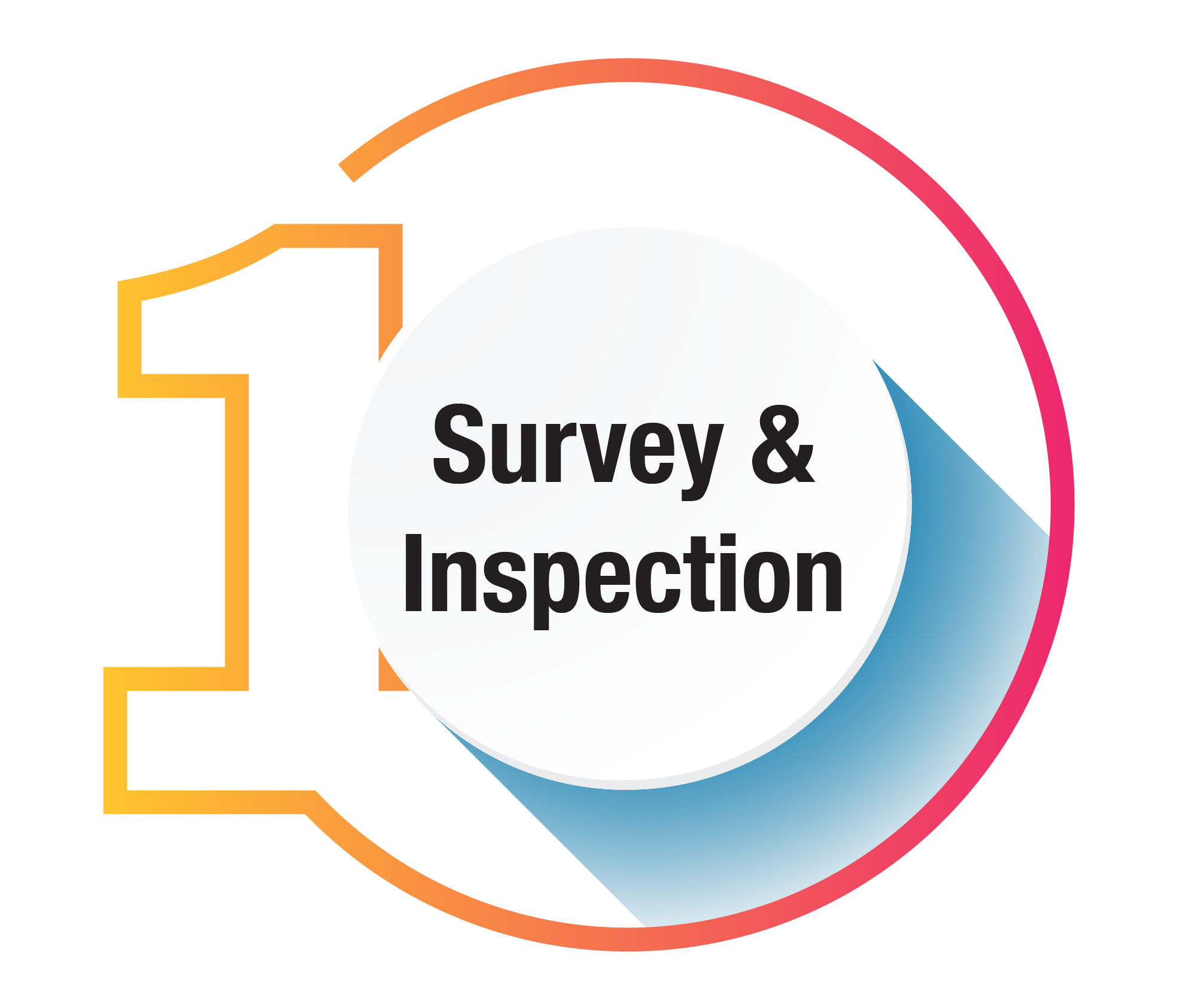 Survey and Inspection
